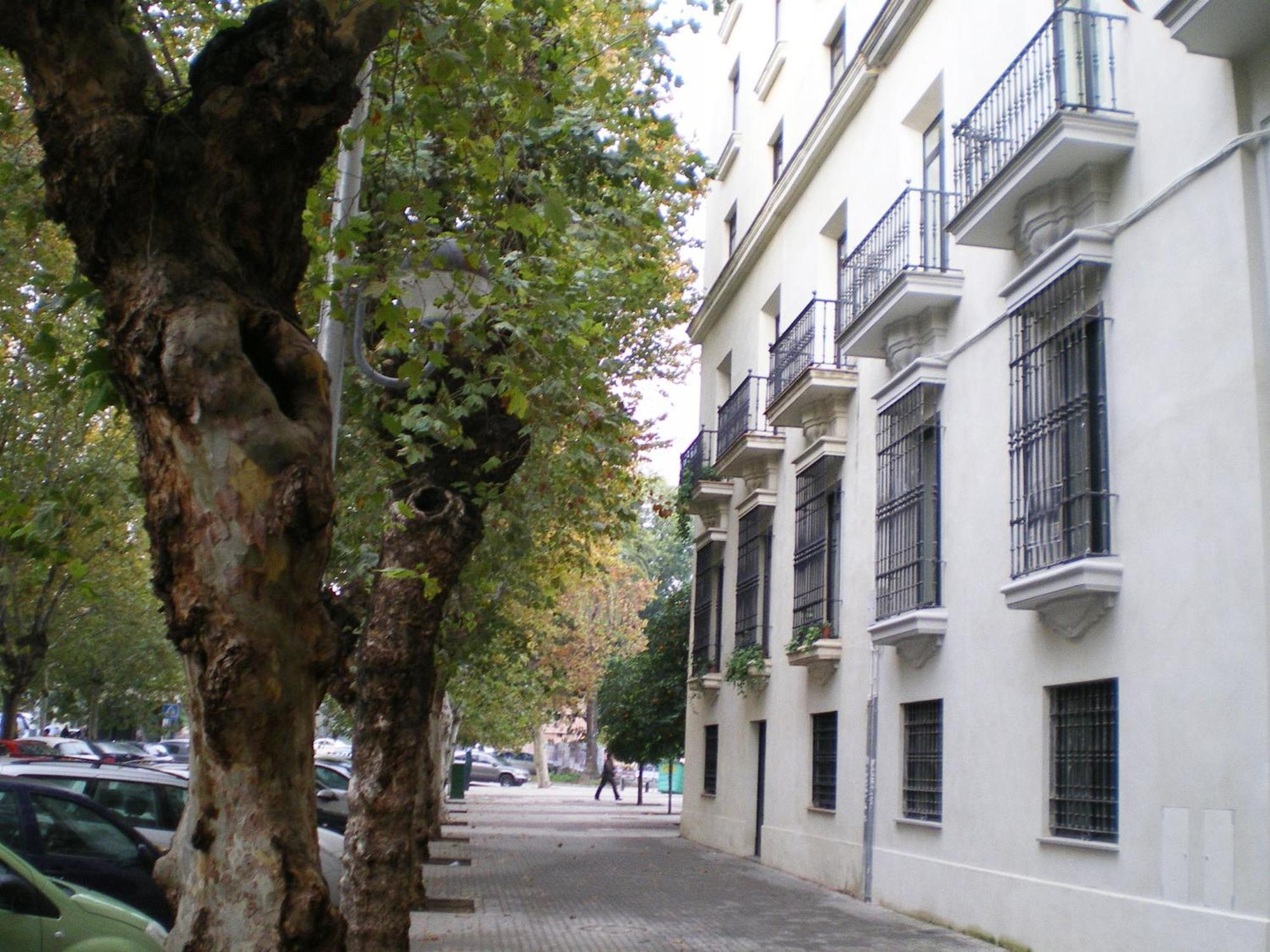 Apartamentos Murallas De Sevilla Exteriér fotografie