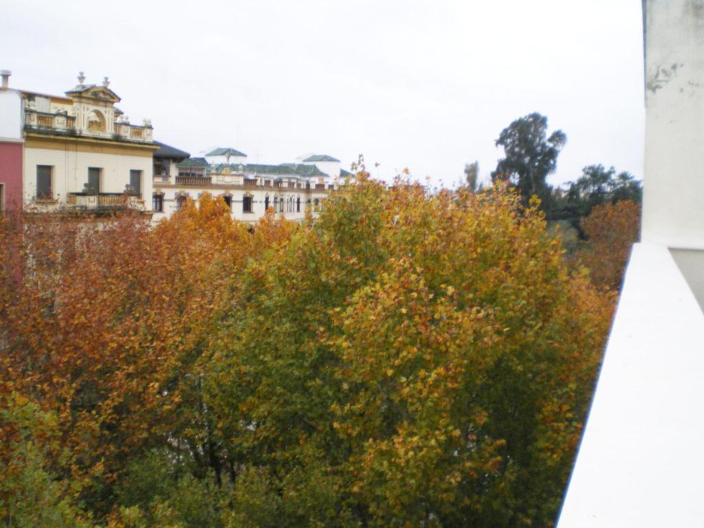 Apartamentos Murallas De Sevilla Exteriér fotografie